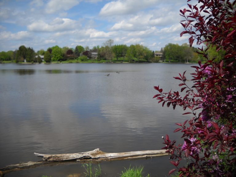 Life in the Village Village of Neosho