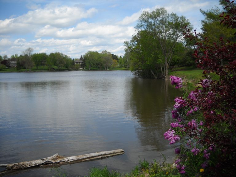 Life in the Village Village of Neosho